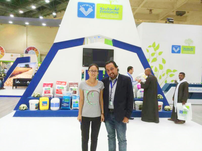 2014年9月埃及展 2014年9月埃及展