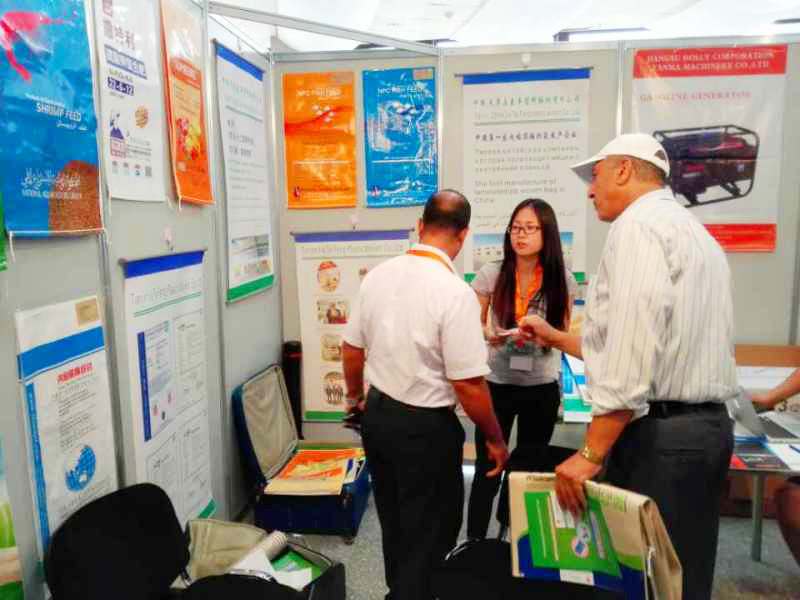 2014年9月埃及展3