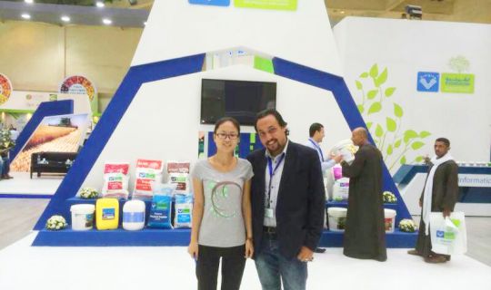 2014年9月埃及展